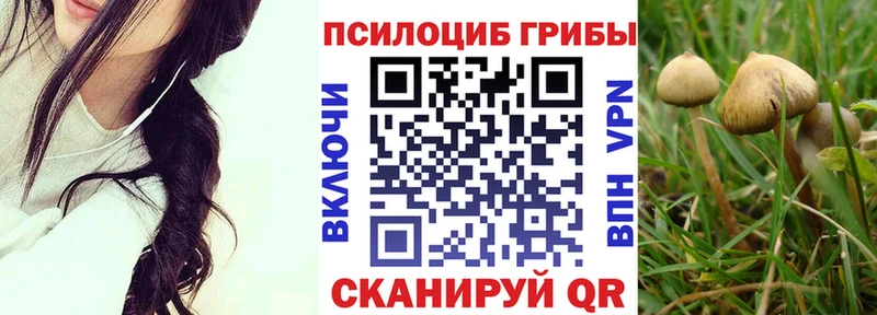 где найти наркотики  Исилькуль  Псилоцибиновые грибы Psilocybe 